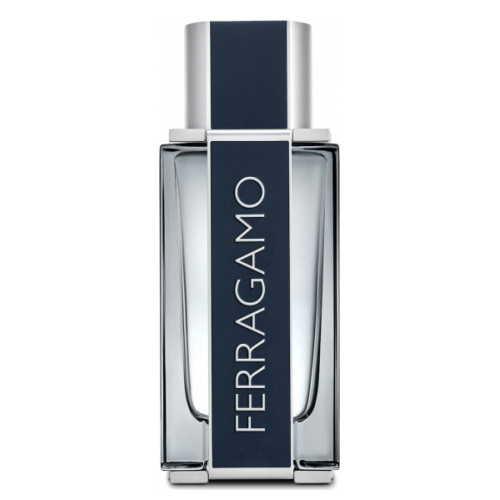 Salvatore Ferragamo Ferragamo EdT 100ml